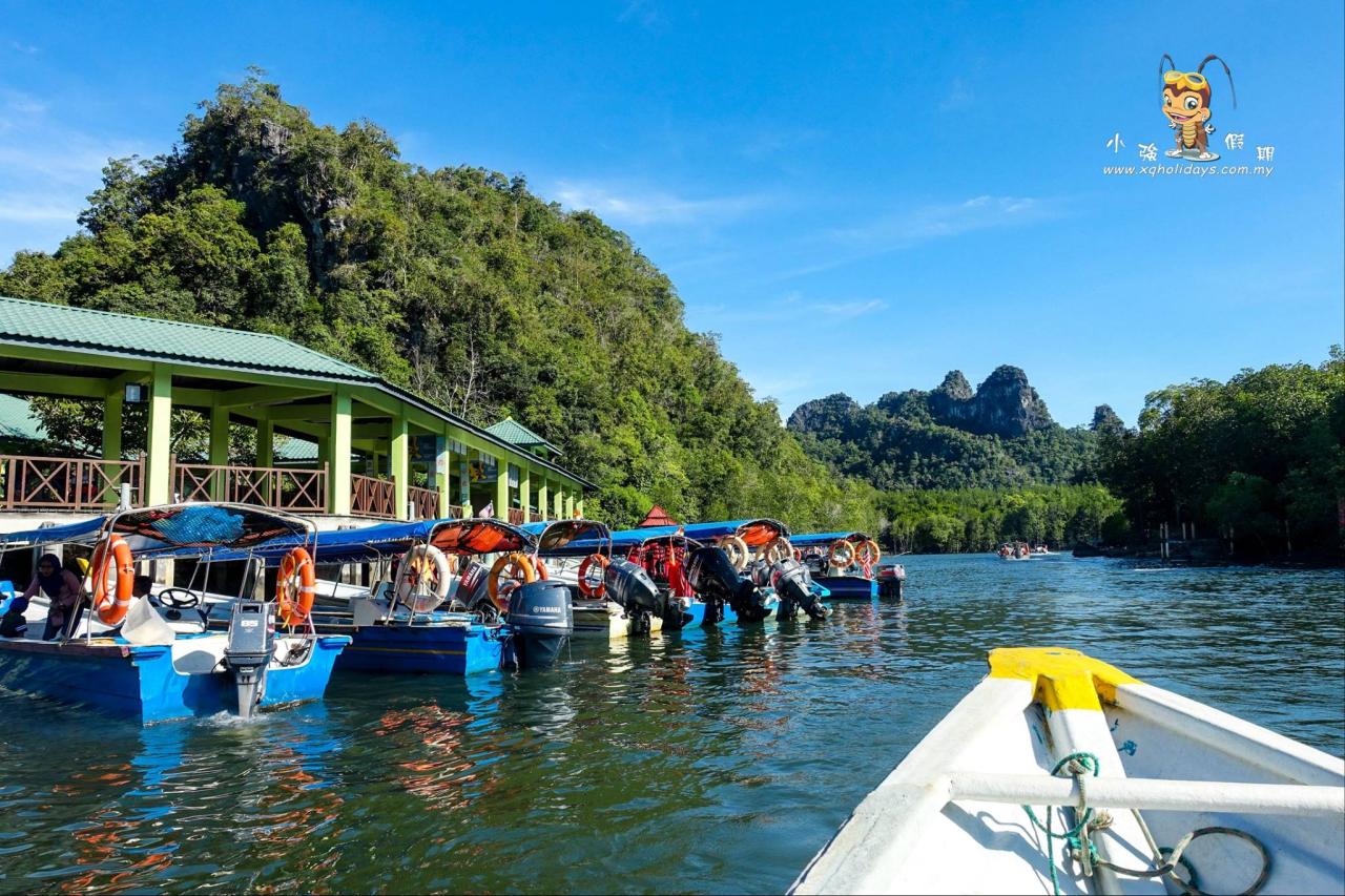 Jelajahi Ekosistem Pesisir Langkawi yang Menawan dengan Mangrove Tour